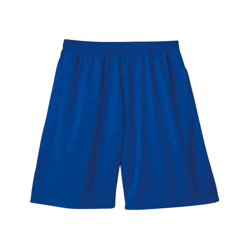 00325-Acpdf 032.Royal Blue Shorts