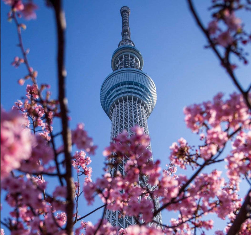 Spice Shaker - Miniature Tokyo Skytree Souvenir