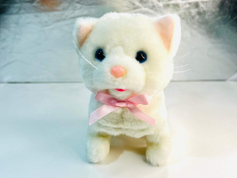 Cat Doll - Darma Souvenir