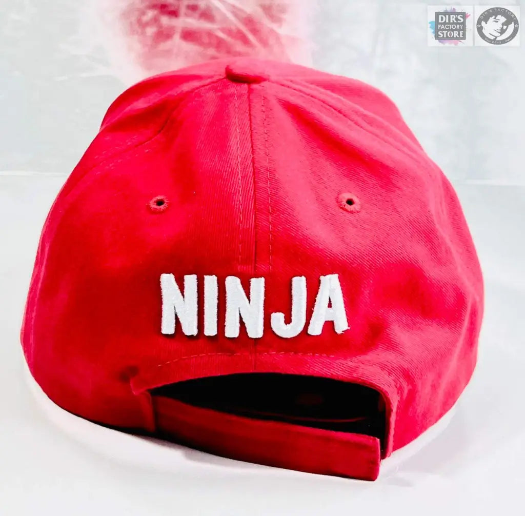 Ninja Souvenir